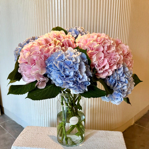 Hydrangea Dream Arrangement in Glass Vase 