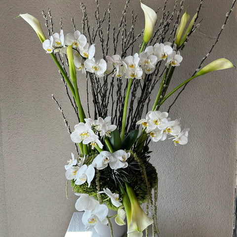 Giant Orchid Arrangement 