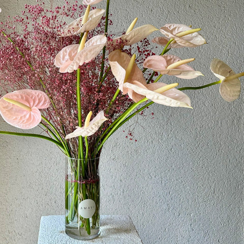 Anthuriums Midi Arrangement in Vase