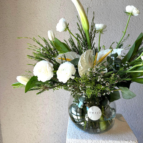 MiniJungle Aquarium Vase Arrangement 