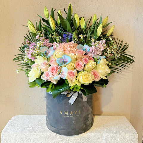 Alice's Dream Garden Premium Maxi Box Arrangement
