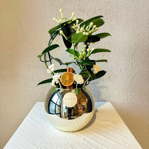 Elegant Jasmine in a Vase