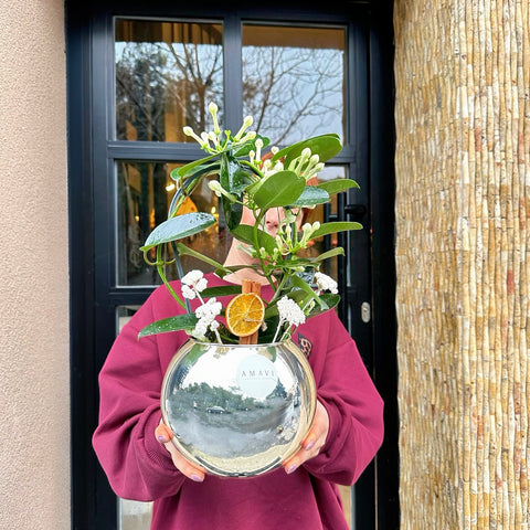 Elegant Jasmine in a Vase