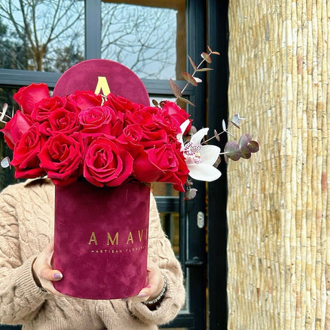 Bordeaux Bliss Red Rose in Burgundy Velvet Box