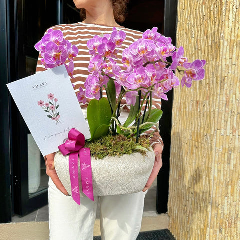 Pink Midi Orchid Special for Mother's Day