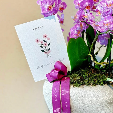 Pink Midi Orchid Special for Mother's Day