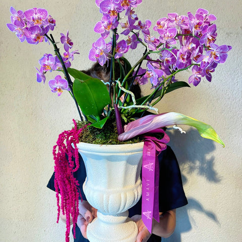 Pink Multi Orchid for My Dear Mother