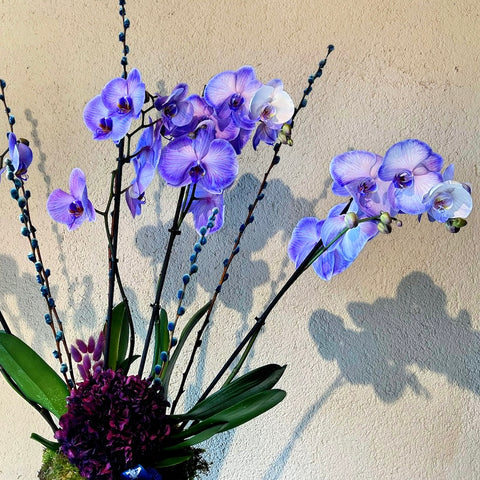 4 Branch Premium Purple Orchid