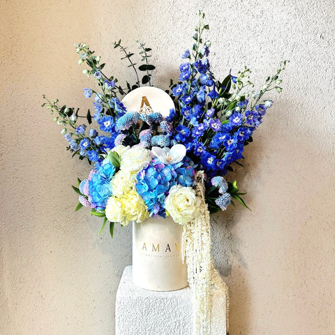 Indigo Bloom Blue Hydrangea Box Arrangement 