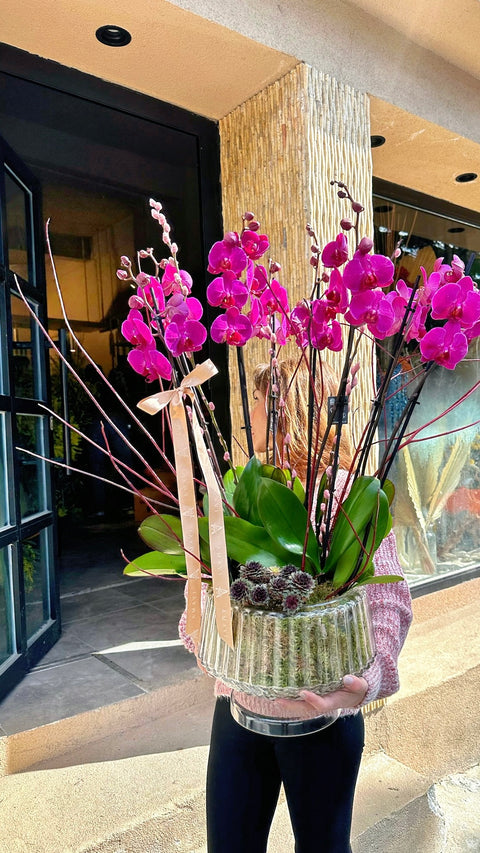Fuchsia Dream Deluxe 6 Branch Fuchsia Orchid 