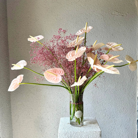 Anthuriums Midi Arrangement in Vase