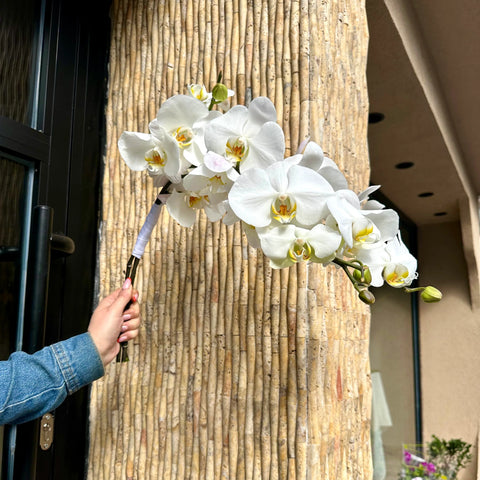 Diana Bridal Bouquet 
