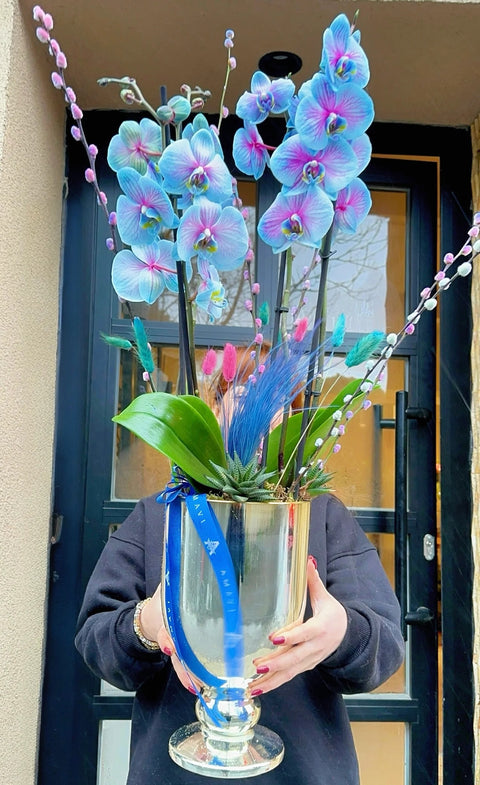 Magical Premium Blue Orchid 4 Branches