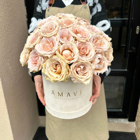 Salmon Roses in a Cream Box 