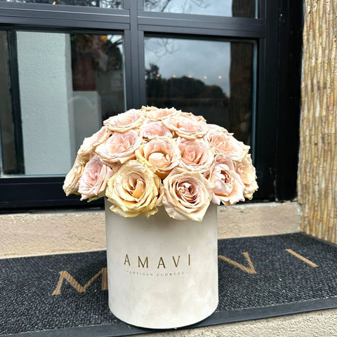 Salmon Roses in a Cream Box 