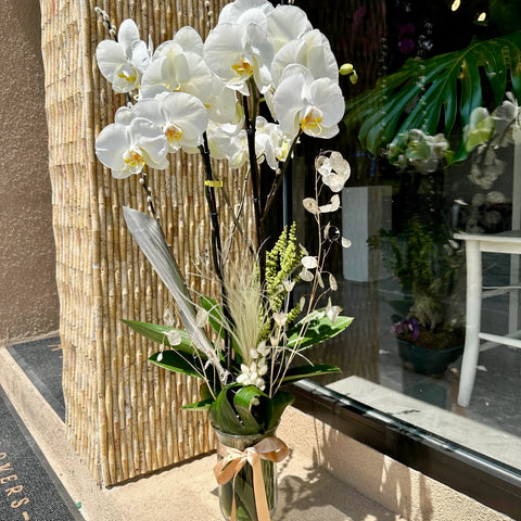 Dried Flower Orchid Arrangement 