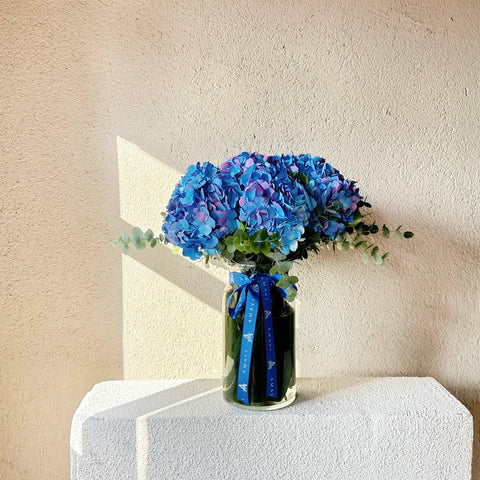 Pure Blue Hydrangeas in Azure Breeze Vase