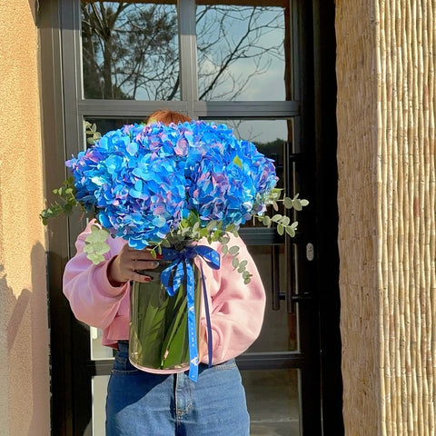 Pure Blue Hydrangeas in Azure Breeze Vase