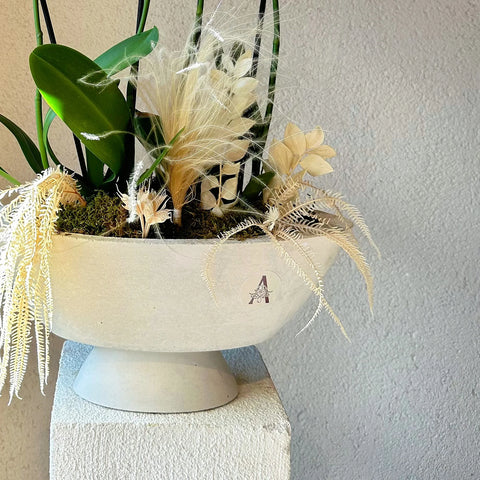 4 Branched Orchid in White Concrete Vase