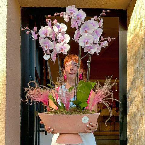 4 Branch Soft Pink Orchid in Concrete Vase