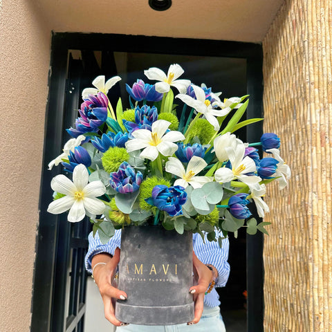 Galaxy Tulip Excitement in a Grey Velvet Box