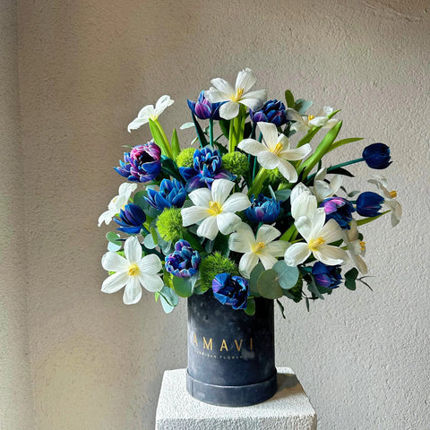 Galaxy Tulip Excitement in a Grey Velvet Box