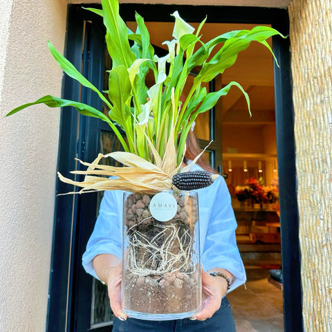 White Gala in Glass Vase 