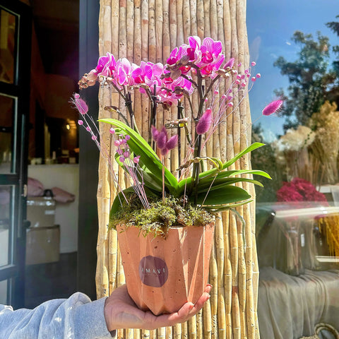 Blossie Midi Fuchsia Orchid
