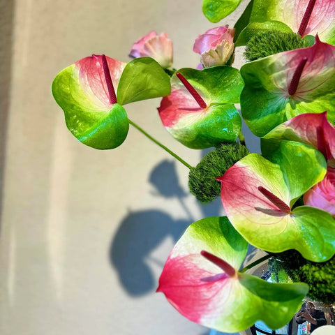 Anthurium Arrangement in Blossom Waltz Vase