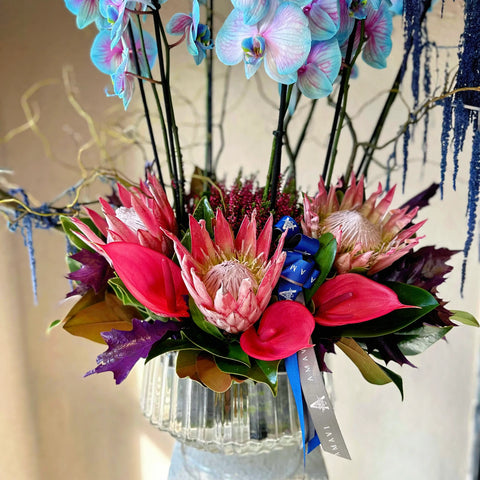 Azure Majesty Deluxe Orchid Arrangement
