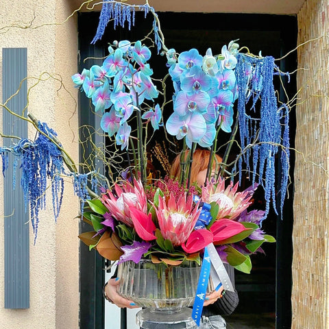 Azure Majesty Deluxe Orchid Arrangement
