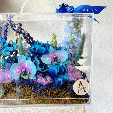 Velvet Azure Bloom Bag Galaxy Tulips in Plexiglass Bag