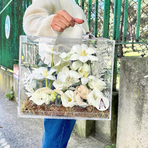Winter's Embrace Bloom Bag White Tulips in Plexiglass Bag