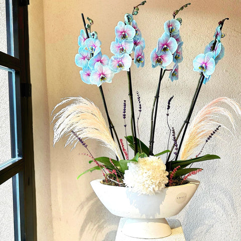 Bohemian Magical Premium 4 Branch Blue Orchid