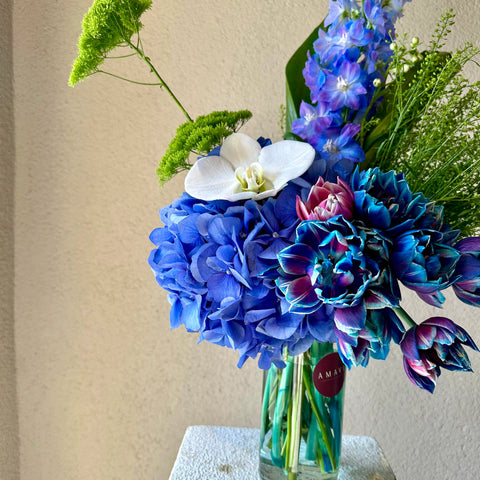 Galaxy Tulip Hydrangea Arrangement in Vase 