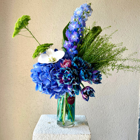 Galaxy Tulip Hydrangea Arrangement in Vase 