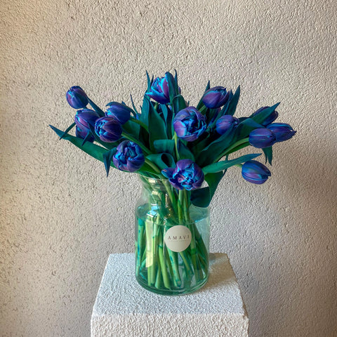 15 Double Bubble Tulips in Vase