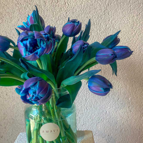 15 Double Bubble Tulips in Vase